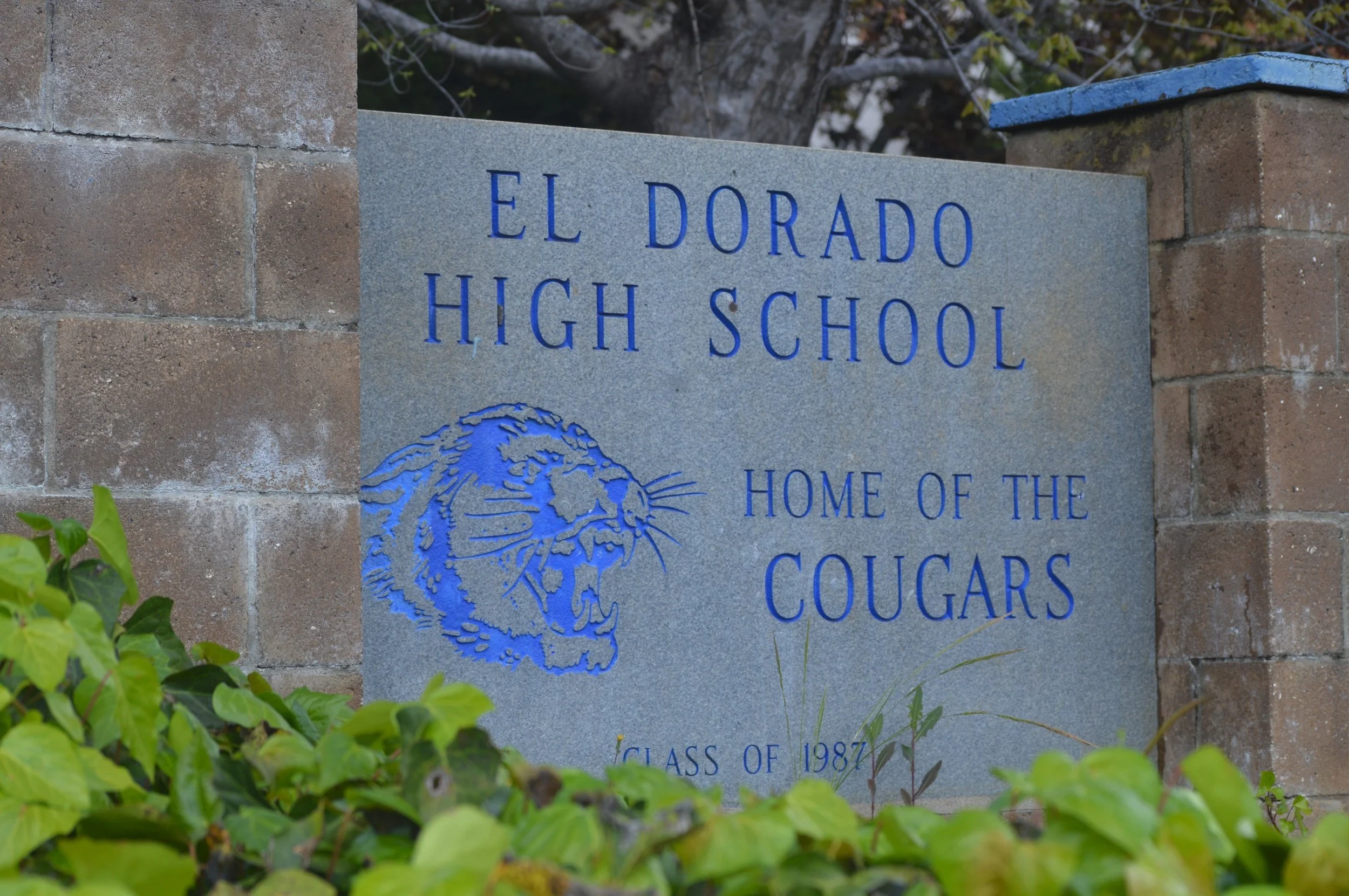 California School Sued Over Allegations of Racist Abuse of Black Student