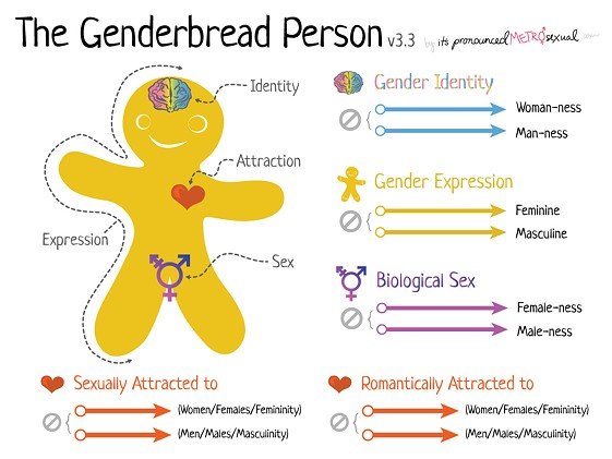 The Genderbread Person is a visual tool that is used in some sex education curriculums to help teach concepts related to gender and sexuality. The tool features a simple illustration of a person and labels different aspects such as physical characteristics, identity, attraction and expression. It is intended to help students understand the complexity of gender and sexuality, and promote inclusivity and acceptance of diverse experiences. While some people consider it an effective teaching tool, others argue that it promotes a certain political agenda or is age-inappropriate. The use of the Genderbread Person has been a topic of controversy in some communities.