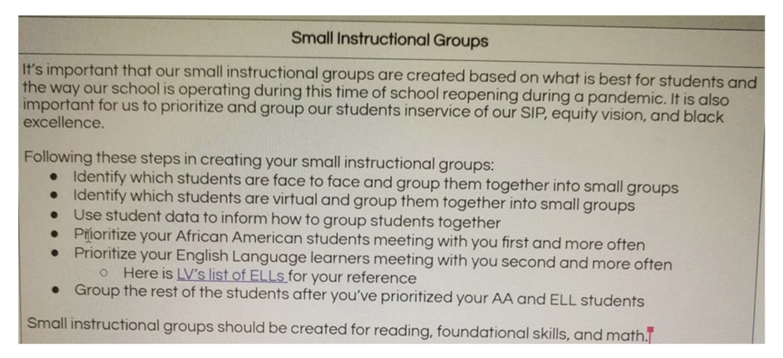 An alleged screenshot of the Madison Metropolitan School District's policy regarding small group instruction.