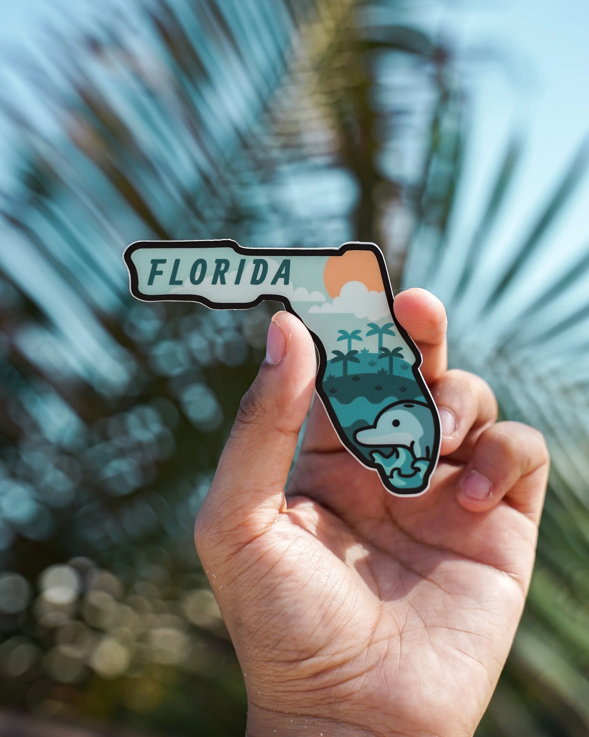 Florida Education Lawyers